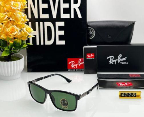 Ray-Ban 4228 Model Sunglasses