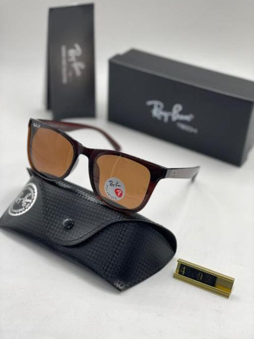 Ray-Ban Polaride Sunglasses with Protective Cover