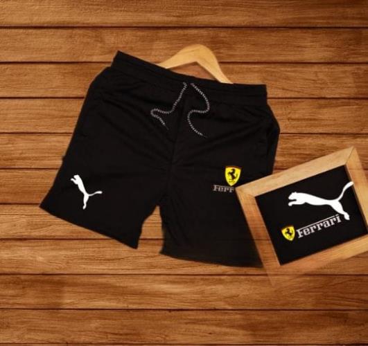 Puma dryfit shorts.