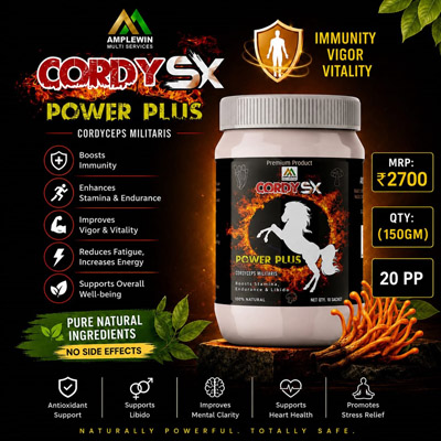 AmpleWin Cordy SX