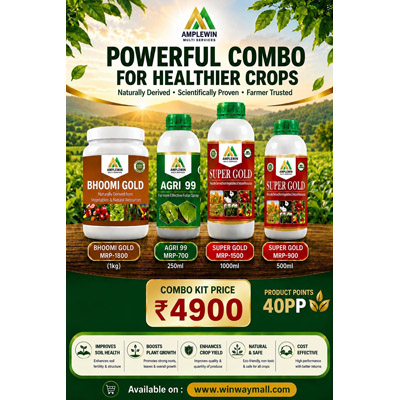 AmpleWin Powerful Combo Crops